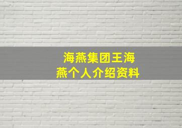 海燕集团王海燕个人介绍资料