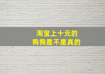 淘宝上十元的狗狗是不是真的