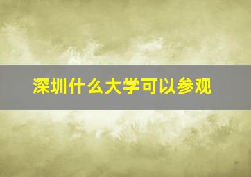 深圳什么大学可以参观