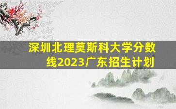 深圳北理莫斯科大学分数线2023广东招生计划