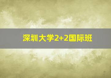 深圳大学2+2国际班