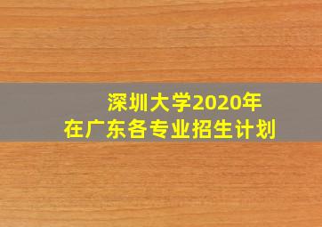 深圳大学2020年在广东各专业招生计划