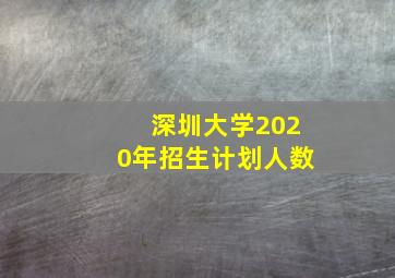 深圳大学2020年招生计划人数