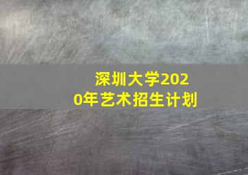 深圳大学2020年艺术招生计划