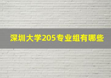 深圳大学205专业组有哪些