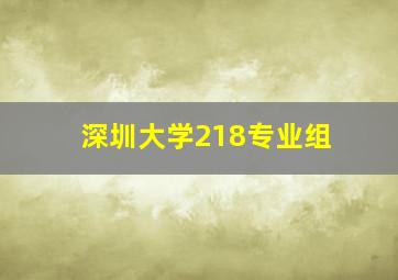 深圳大学218专业组