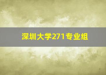 深圳大学271专业组