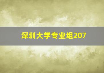 深圳大学专业组207