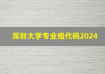 深圳大学专业组代码2024