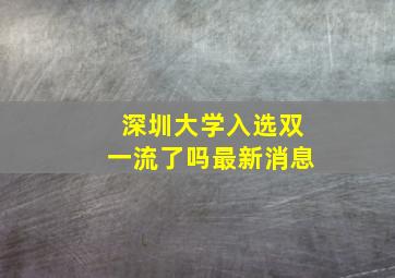 深圳大学入选双一流了吗最新消息