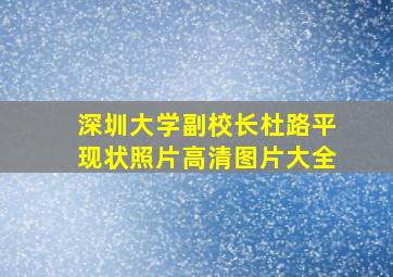 深圳大学副校长杜路平现状照片高清图片大全