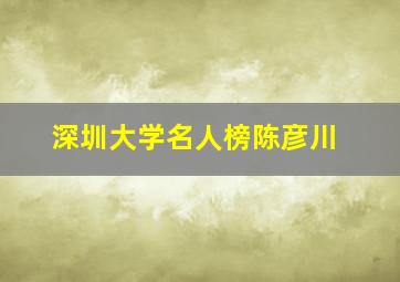 深圳大学名人榜陈彦川