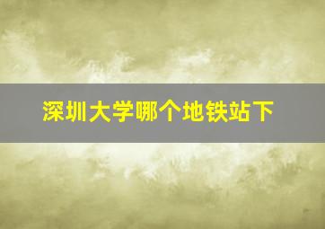 深圳大学哪个地铁站下