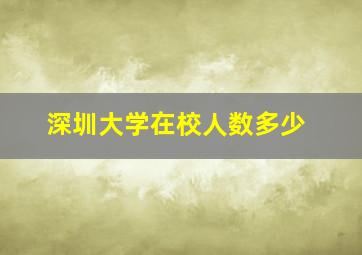 深圳大学在校人数多少