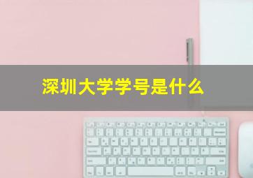 深圳大学学号是什么