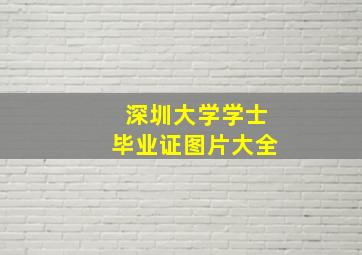 深圳大学学士毕业证图片大全