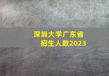 深圳大学广东省招生人数2023