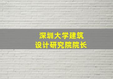 深圳大学建筑设计研究院院长