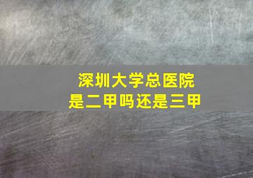 深圳大学总医院是二甲吗还是三甲