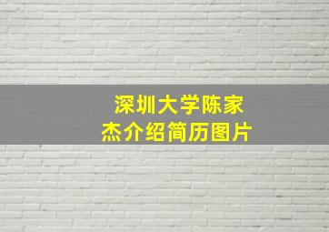 深圳大学陈家杰介绍简历图片