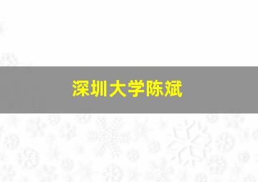 深圳大学陈斌