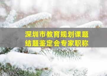 深圳市教育规划课题结题鉴定会专家职称