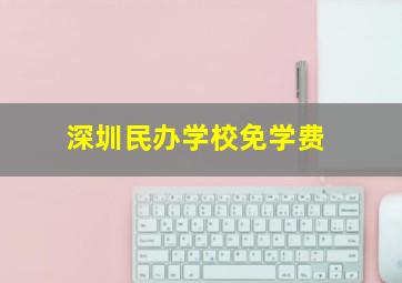 深圳民办学校免学费