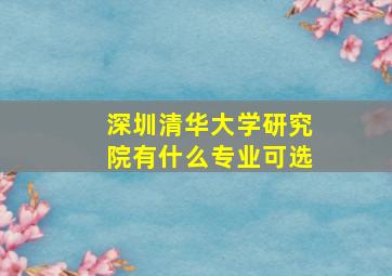 深圳清华大学研究院有什么专业可选