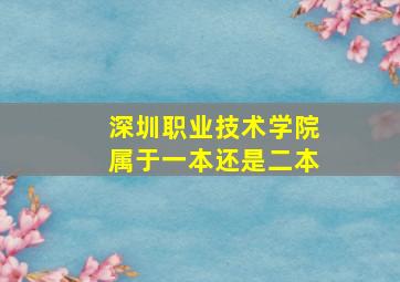 深圳职业技术学院属于一本还是二本