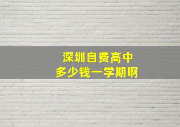 深圳自费高中多少钱一学期啊