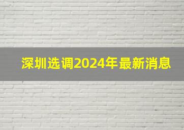 深圳选调2024年最新消息