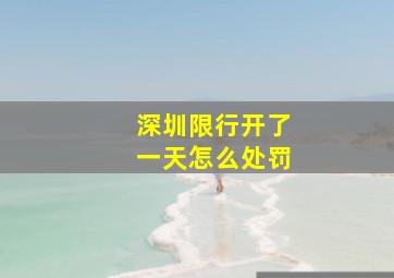 深圳限行开了一天怎么处罚