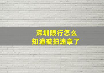 深圳限行怎么知道被拍违章了