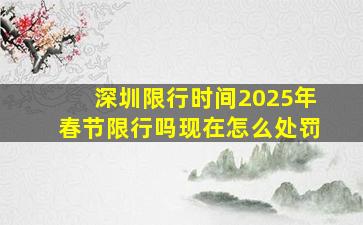 深圳限行时间2025年春节限行吗现在怎么处罚