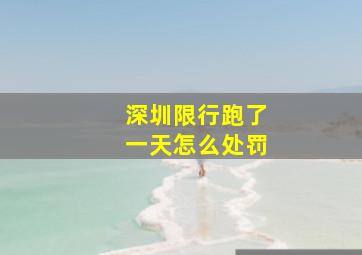 深圳限行跑了一天怎么处罚