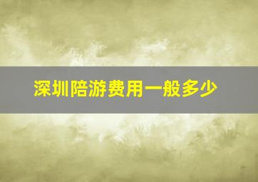 深圳陪游费用一般多少