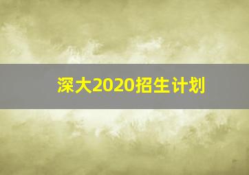 深大2020招生计划