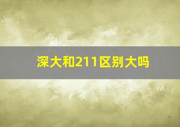 深大和211区别大吗