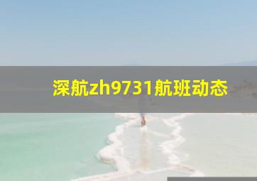 深航zh9731航班动态