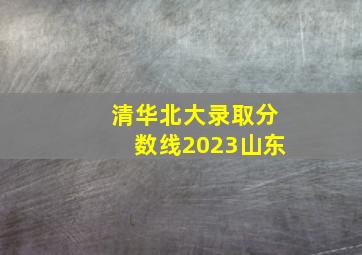 清华北大录取分数线2023山东