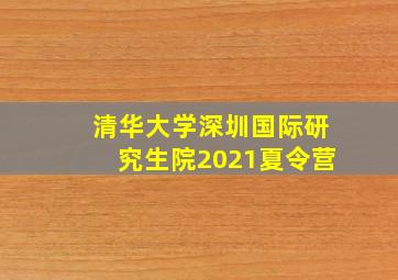 清华大学深圳国际研究生院2021夏令营