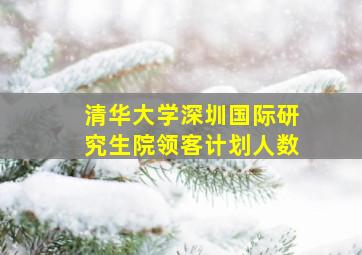 清华大学深圳国际研究生院领客计划人数