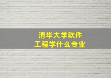 清华大学软件工程学什么专业