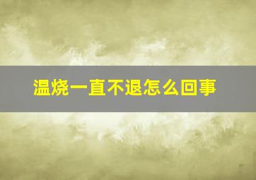 温烧一直不退怎么回事