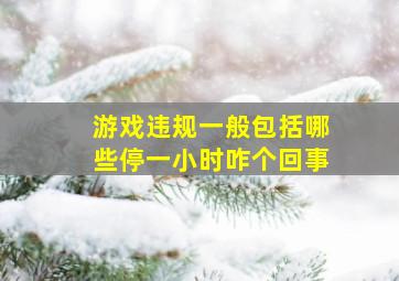 游戏违规一般包括哪些停一小时咋个回事