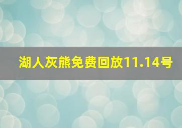 湖人灰熊免费回放11.14号