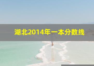 湖北2014年一本分数线