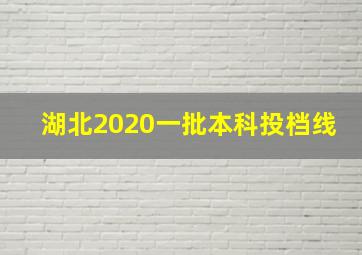 湖北2020一批本科投档线