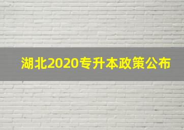 湖北2020专升本政策公布