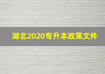 湖北2020专升本政策文件